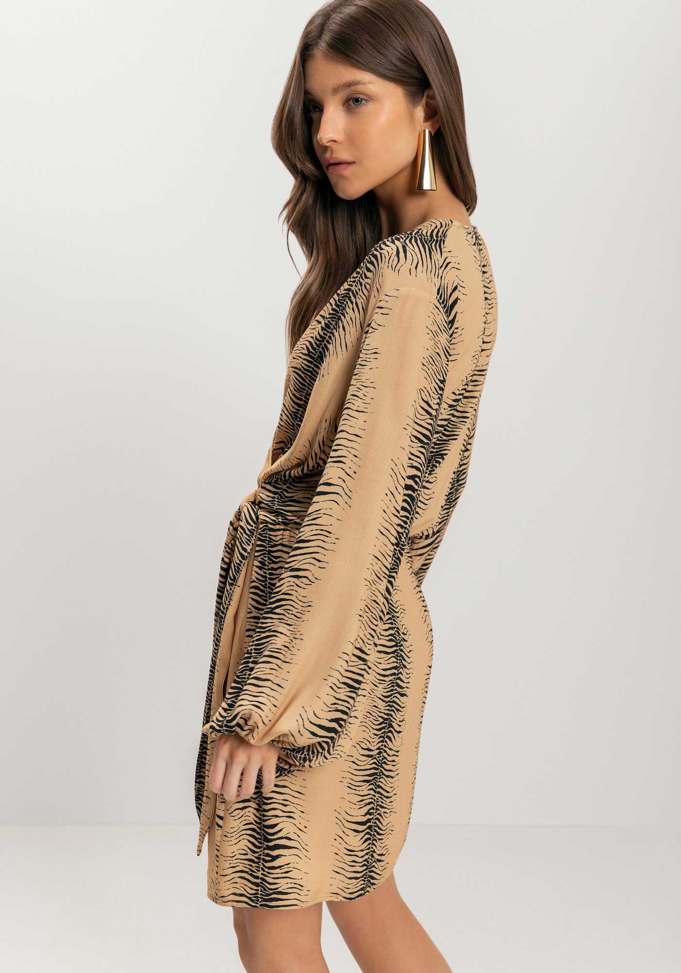 Vestido Estampado Transpassado Com Mangas Longas E Amarra&ccedil;&atilde;o, ZEBRA STRIPES VERDE, large.