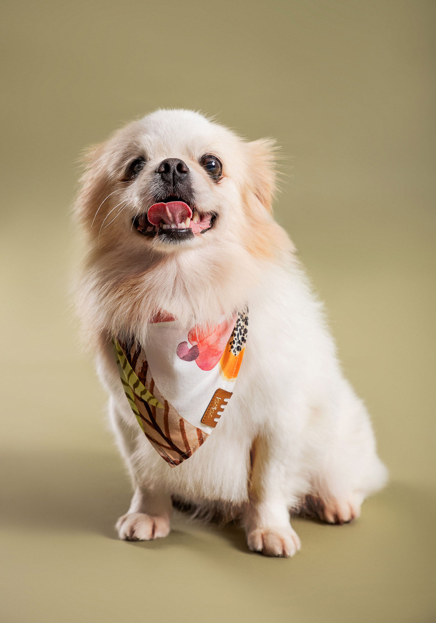 Bandana PET lover, , large.