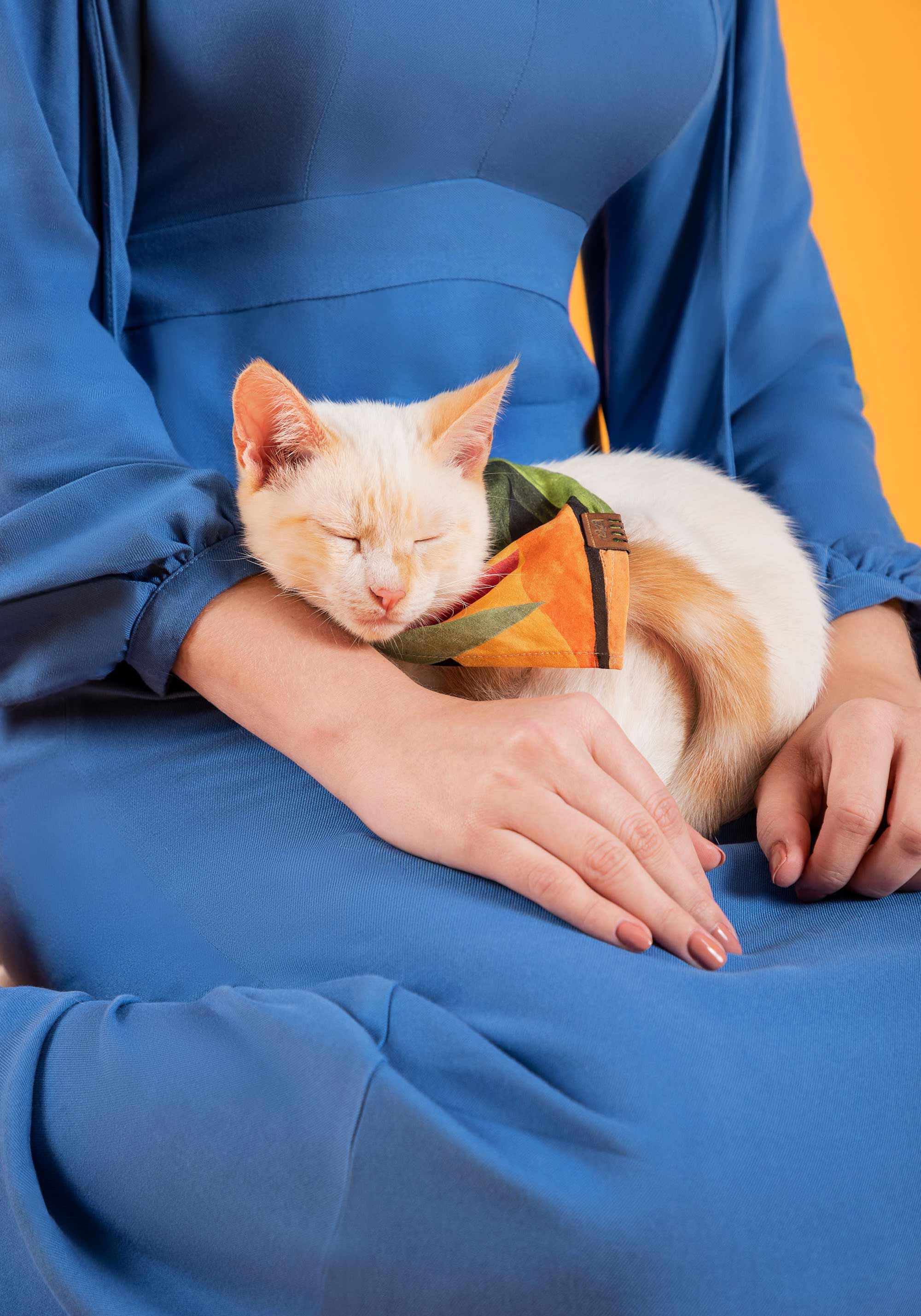 Bandana PET lover, , large.