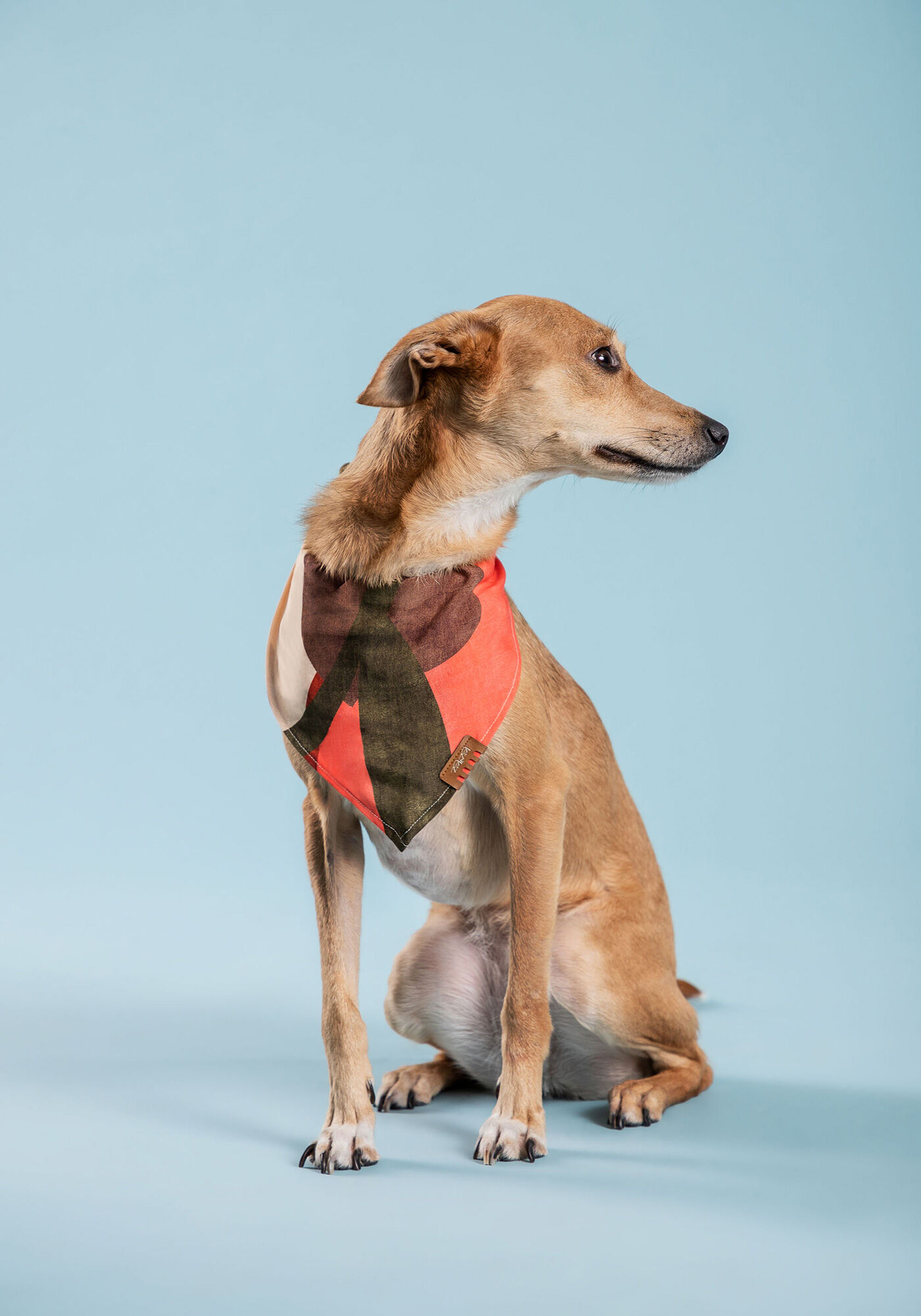 Bandana PET lover, , large.