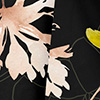 Blusa De Mangas Longas Estampada Com Amarração Posterior, FLORA PRETO, swatch.