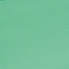 Sandália Rasteira com Amarração Cordão, VERDE GREEN FLAG, swatch.