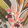 Blusão Estampado em Tricô com Mangas Bufantes, VERDE ARABESQUE, swatch.