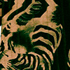 Blusa Estampada Com Mangas Curtas Em Malha De Viscose, ZEBRA PLISSE VERDE, swatch.