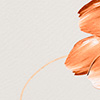 Blusa De Mangas Curtas Com Decote Redondo E Frente Estampada, LARANJA WONDERLAND, swatch.