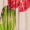Blusa Estampada De Mangas Longas Com Decote Reto, HIBISCOS BEGE, swatch.