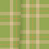 Colete Alongado Xadrez Com Bolsos E Botões Frontais, M.PLAID VERDE CLARO, swatch.