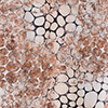 Saia Midi Chá Estampada Com Detalhe De Argolas, SKIN MARROM, swatch.