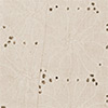 Colete Alongado Com Gola E Cinto Em Tecido Bordado, BEGE ALHAMBRA, swatch.